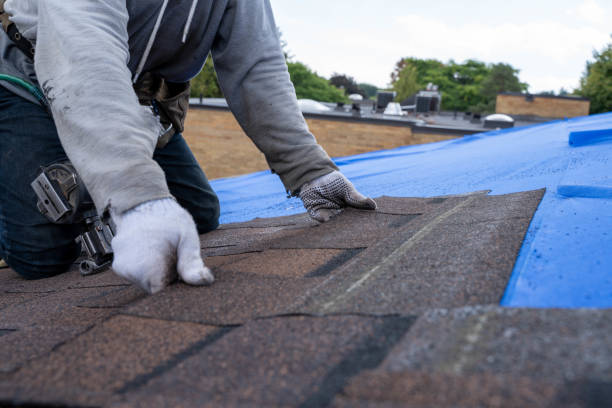 Best Roof Gutter Cleaning  in Lockwood, MT